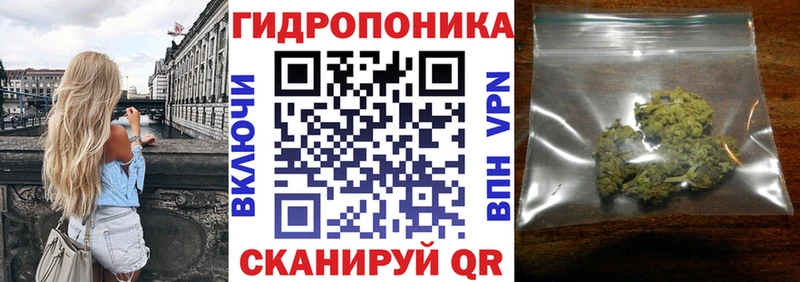 Где купить Александров APVP Мефедрон гидра ONION Каннабис Гашиш