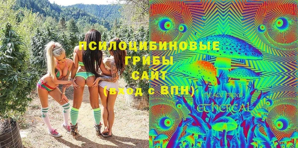 ПСИЛОЦИБИНОВЫЕ ГРИБЫ Покачи